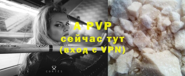 гидра Инта