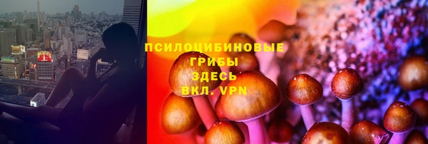 винт Верхний Тагил