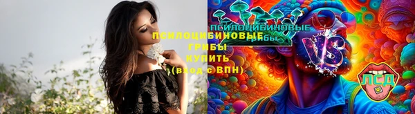 mdpv Верея