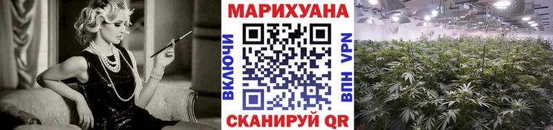 Шишки марихуана сатива  Волчанск 